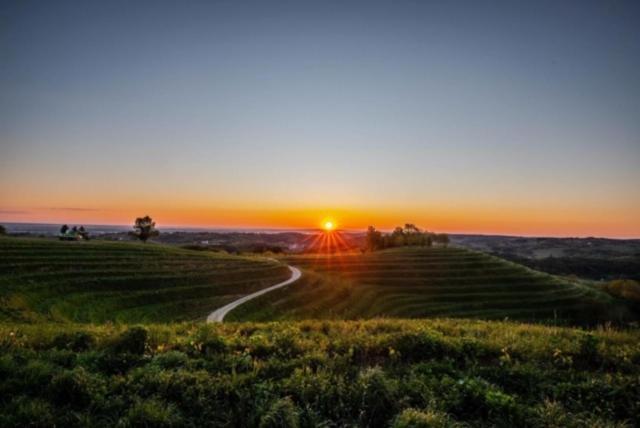 Kuća za odmor Nedeljko/ Holliday hause Nedeljko Villa Sveti Martin Na Muri Buitenkant foto