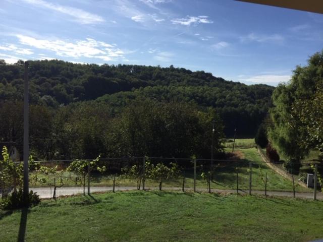 Kuća za odmor Nedeljko/ Holliday hause Nedeljko Villa Sveti Martin Na Muri Buitenkant foto