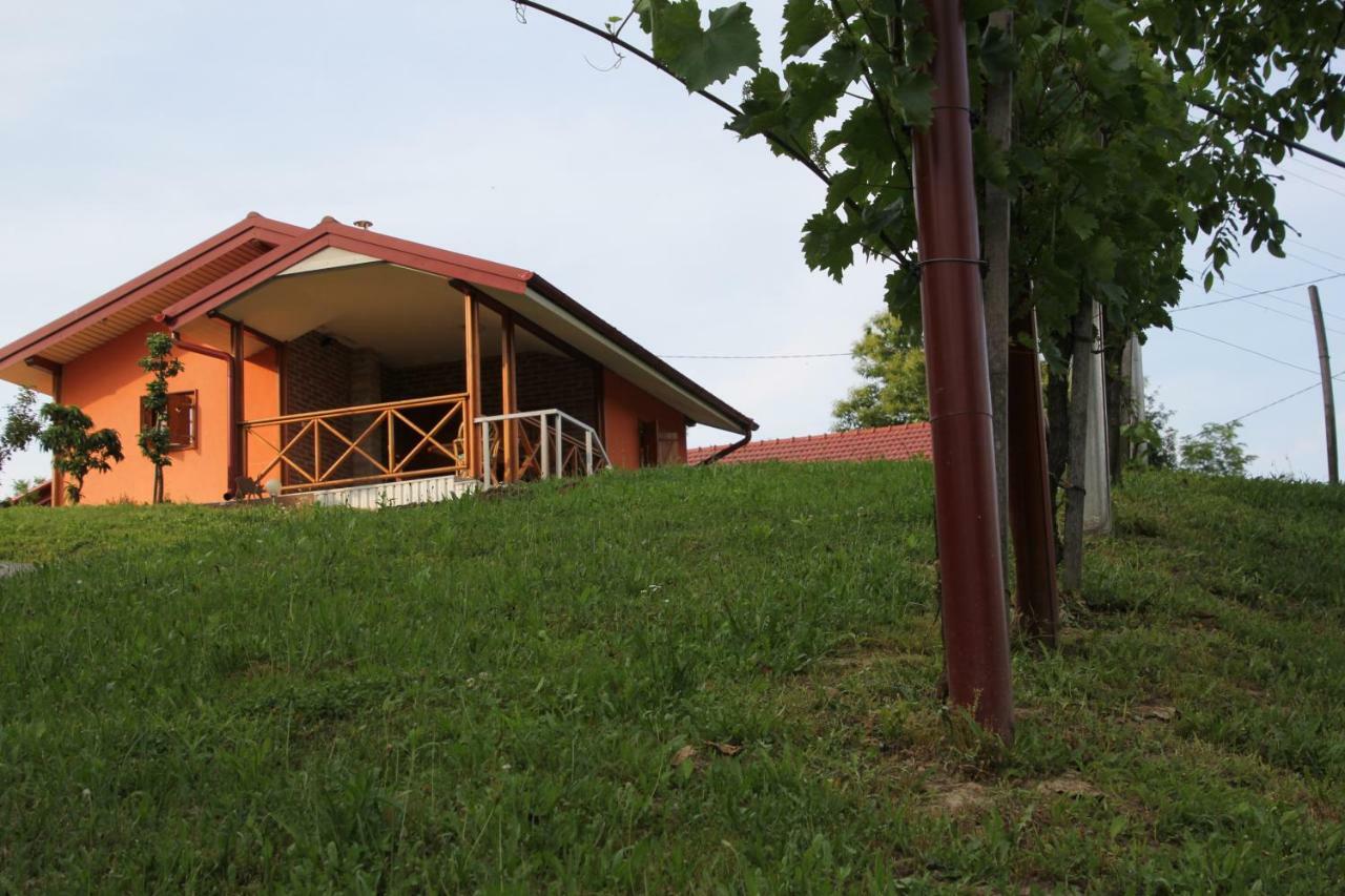 Kuća za odmor Nedeljko/ Holliday hause Nedeljko Villa Sveti Martin Na Muri Buitenkant foto